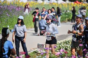 BIB: 
                            <button type="button" onclick="openModal(27793164)" class="btn btn-primary btn-sm float-right btn-popup" data-toggle="modal" data-target=".modal-high-quality">
                        <i class="fas fa-shopping-cart"></i> Add to Cart
                    </button>
                                            <button type="button" onclick="isThisMe(27793164, true)" class="btn btn-success btn-sm float-right btn-popup btn-isme hidden" data-toggle="tooltip" data-placement="bottom" title="นี่คือรูปของคุณใช่ไหม คลิกที่นี่เพื่อเอาเข้าอัลบั้ม">
                        <i class="fas fa-plus"></i> Add to album
                    </button>
                    <button type="button" onclick="isThisMe(27793164, false)" class="btn btn-warning btn-sm float-right btn-popup btn-isnotme hidden">
                        <i class="fas fa-ban"></i> Remove from album
                    </button>